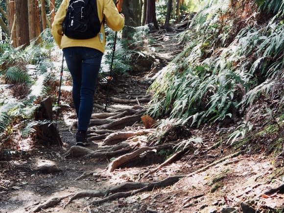 登山しようと思う 男体山(栃木)ってどうなの？