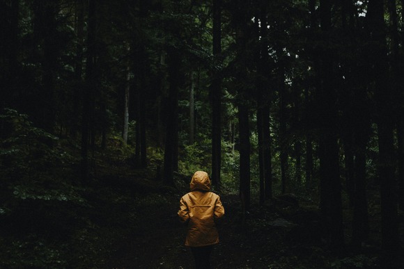 YAMAPの保険ってどうなの？