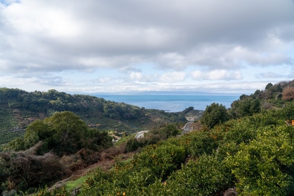 猪と熊がいない山ってないの？