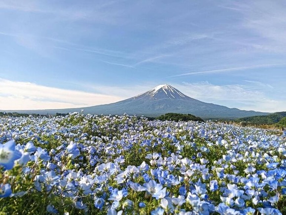 【画像】とあるお店に300円支払うと見れる景色がこちら