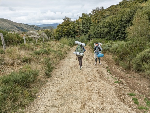 山に行くなら財布は厚手のジップロックがおすすめだぞ