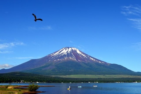 富士山