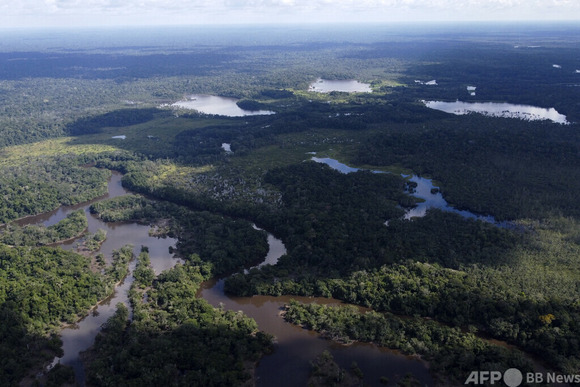 「イモムシを食べ自分の尿を飲んだ」アマゾンさまよい1か月、男性の壮絶サバイバル