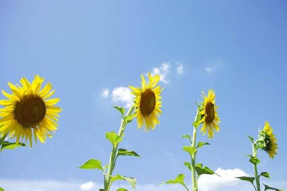 40