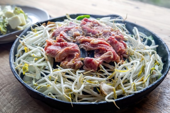 【画像】今から「北海道地元民スタイル」のジンギスカンバーベキューするわ