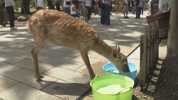 35℃超えの夏真っ盛り！！！