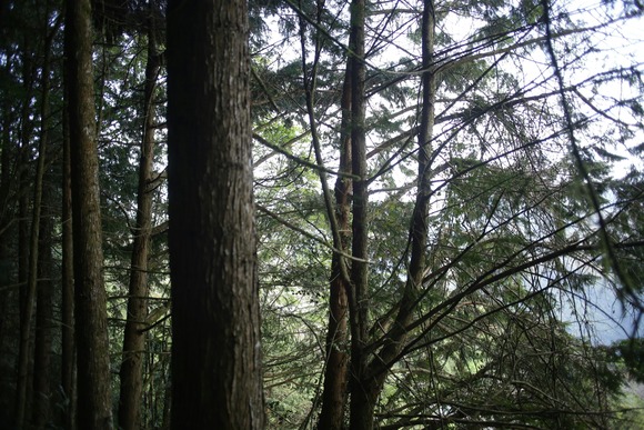 山の中とかで昔集落が存在して石垣とか残ってるような場所の土地買って住んでもいいの？