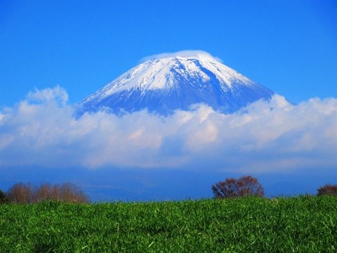 富士山