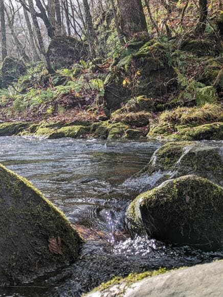 【画像】〝長時間露出〟使ったらそれっぽい川の写真撮れてワロタ