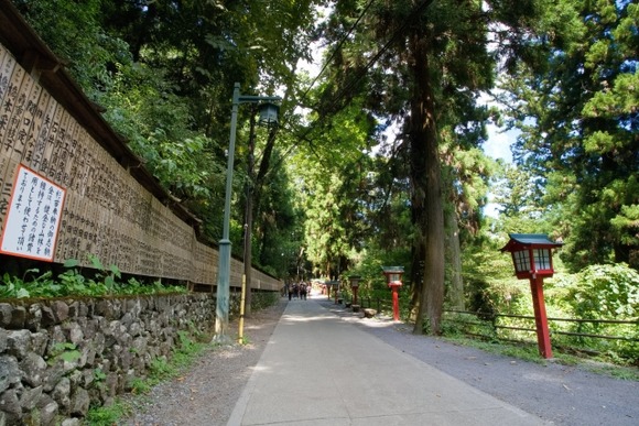 紅葉の高尾山は絶対に行くなおじさん「紅葉の高尾山は絶対に行くな」　先週ワイ「逆張り乙w」