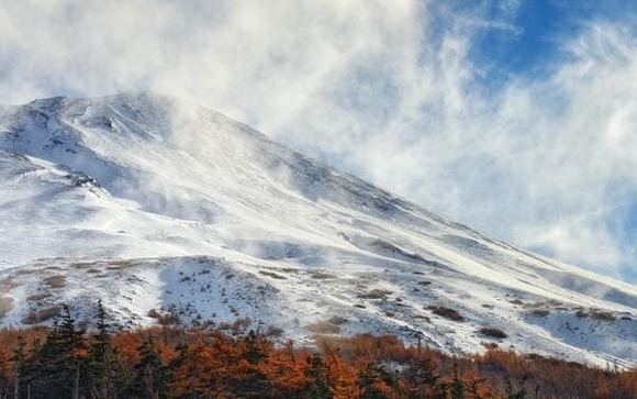 takashi-miyazaki-MWP2BGh6pJU-unsplash (1)