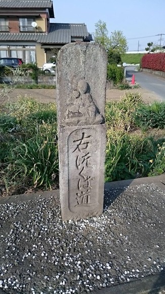 354-3