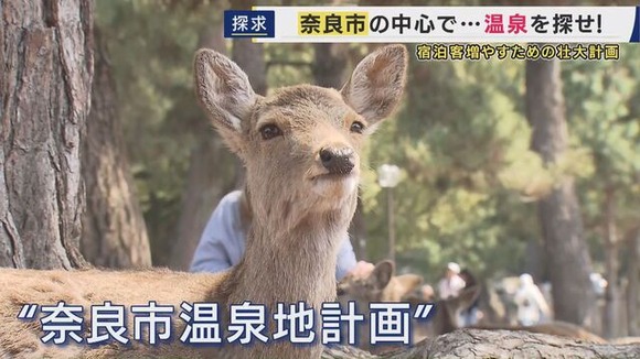 奈良市「観光客が奈良に泊まってくれない。温泉を探そう」