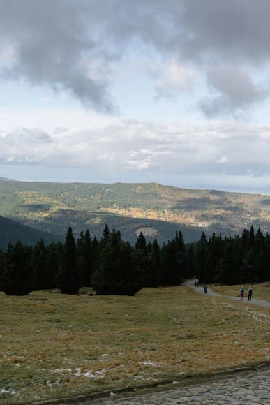 おじさんの趣味5選、釣り、バイク、登山、アイドル、鉄道
