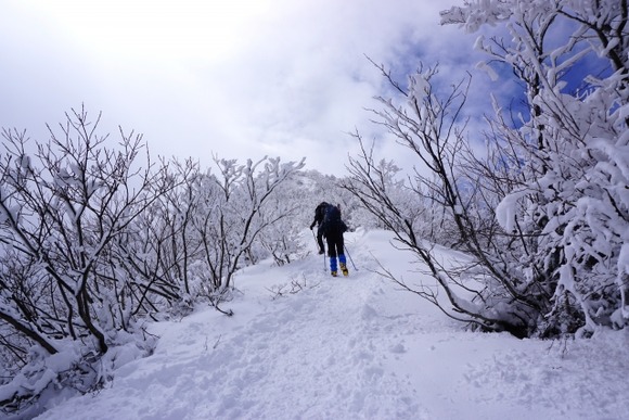 結局、山で遭難したらどうするのがいいの？