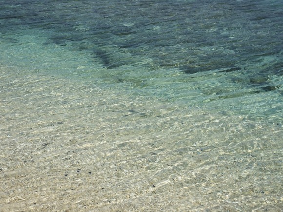 彡(ﾟ)(ﾟ)「ちょっとくらい海水飲んでも大丈夫やろ」