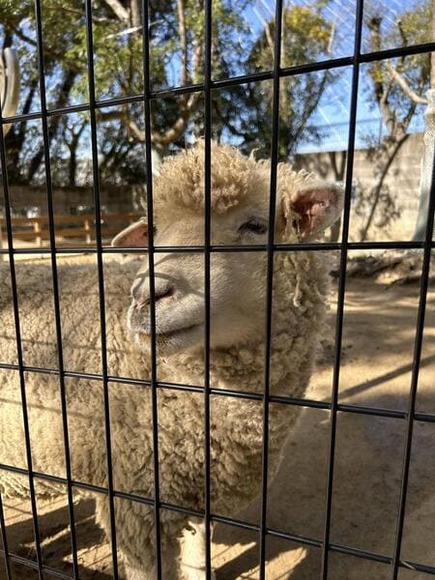 【画像】五月山動物園きたで