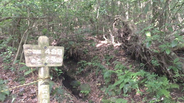42