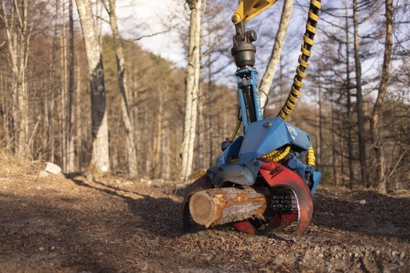 【北海道】37歳年収600万の林業やけど質問ある？