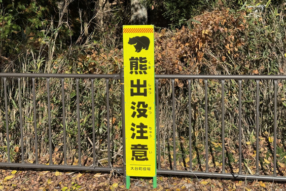 市街地出没「アーバンベア」冬眠しない？　人里で餌確保でき、1月初旬まで活動の恐れも