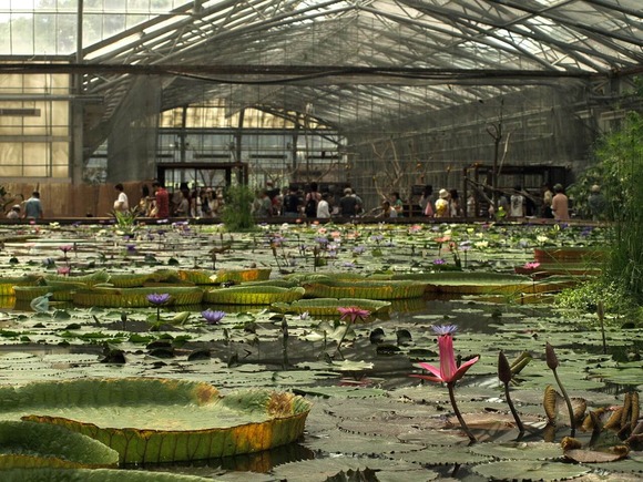 掛川花鳥園 大温室