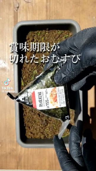 【実験】「期限切れおにぎり」を土に埋める→1カ月後に掘り起こすと“まさかの状態”に驚き「はぇ～」