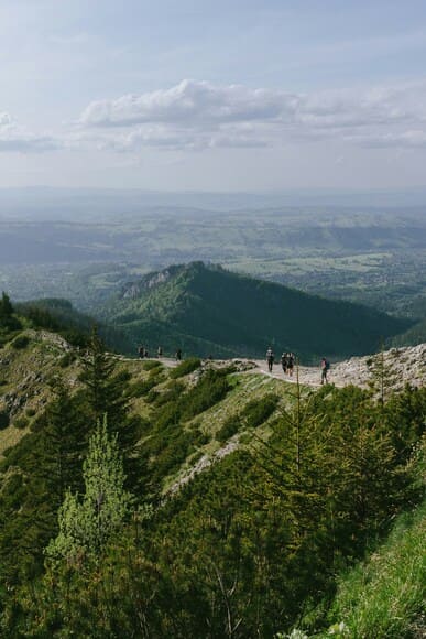 【ザック】14年前のケストレルが加水分解しない