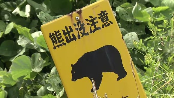 【宮城】「80センチのクマが50センチの柴犬咥えて森に逃げた」熊と庭で飼っていた犬の行方分からず　大崎市古川北宮沢