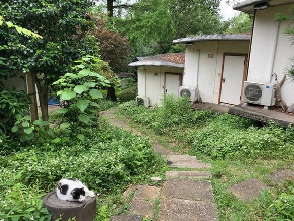 【画像】『新美の巨人たち』で紹介された建物見てきた