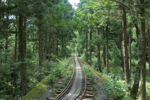 高層湿原の小花之江河