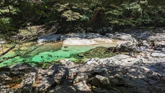 【画像】暇だから面河川に行った