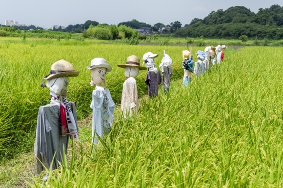 【動画】フランスの案山子、怖すぎる…