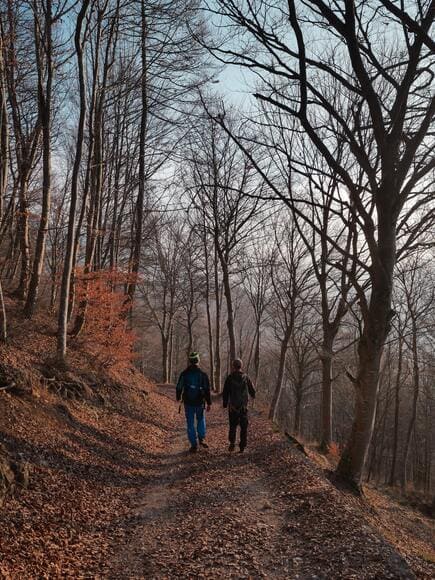 ワークマンのメリノシャツ、靴下で北鎌尾根行ってきたけどもうベースはワークマンでいいな