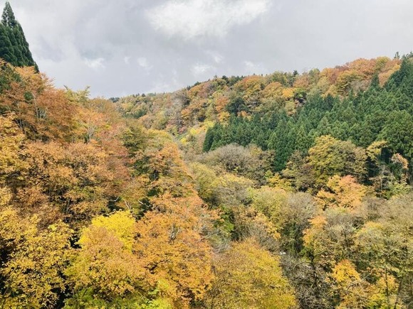 【画像】鉄ヲタのラブライバー、秋のキャンプ