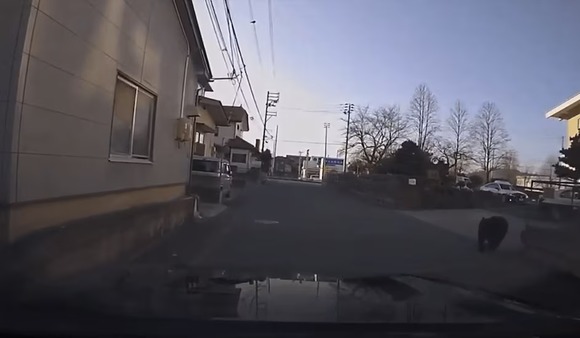 「家から出ないで！クマいるよ！」警察が叫ぶ…でかい！山形市の中学校に侵入したクマが逃走する瞬間をカメラがとらえた