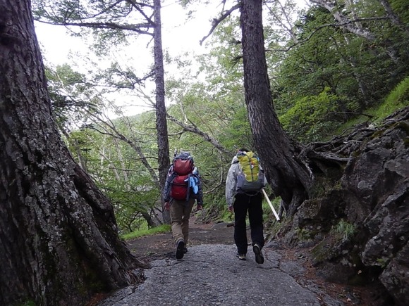 行動食の最適解って結局なんなんだろうか？フルグラ？