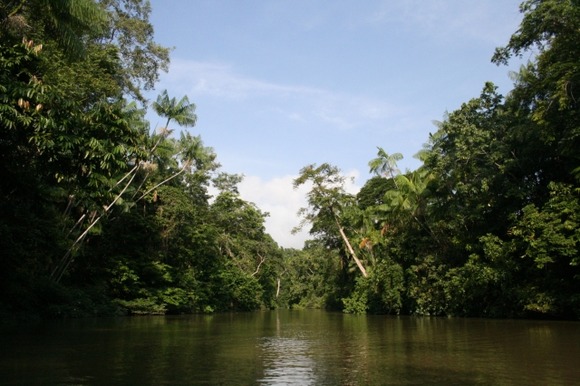 【動画】川のヌシ、デカすぎる　お前らの想像の2倍デカい