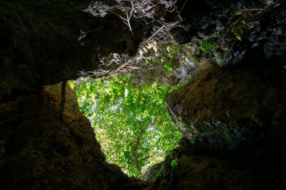 【長崎】西海の「龍王洞」で滑落死…日本洞窟学会の女性（７５）　バランス崩したか