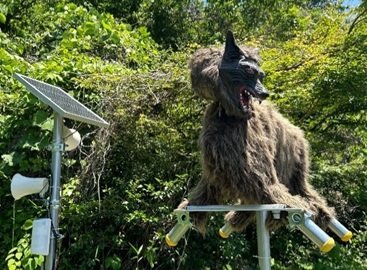 【群馬】 ファミマ、オオカミ型撃退装置「モンスターウルフ」を店舗に　クマ対策を強化