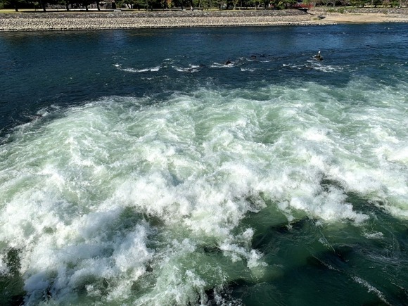 【悲報】ワイ（32歳）、銭湯で漏らす…