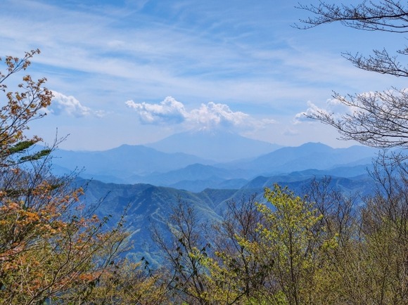 三頭山から笹尾根で高尾山まで考えてるんだけど…