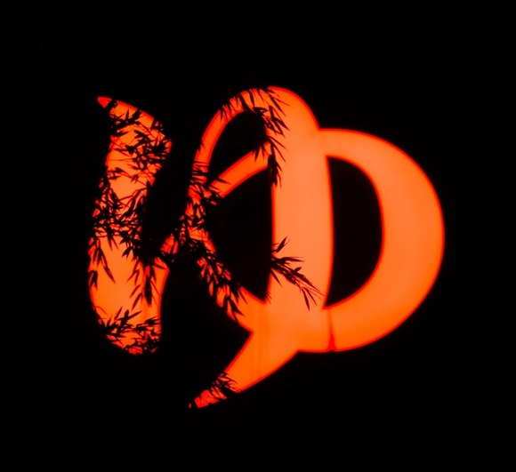 スーパー銭湯上がりワイ、チルアウトを嗜む