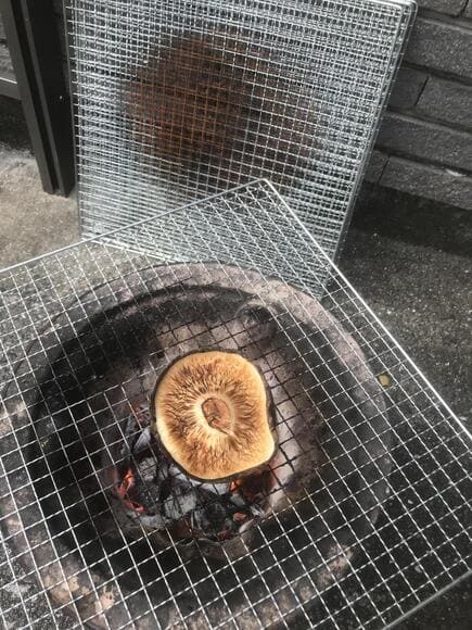 101