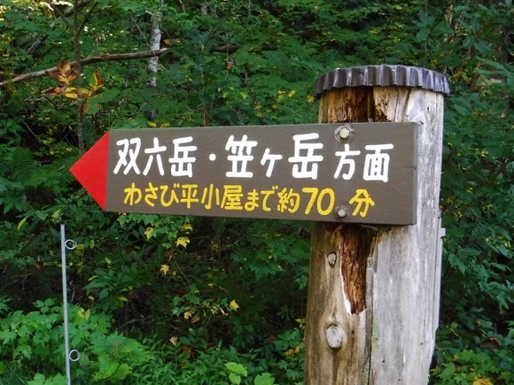 会社員定年後は松本あたりに移住したいわ。そしたら毎週北アルプスへ行けるかな
