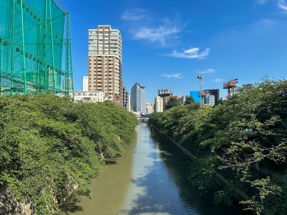 【悲報】家の前にある川が臭い・・・