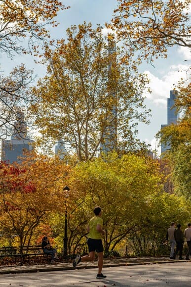 朝ジョギングするやつの理解ができない