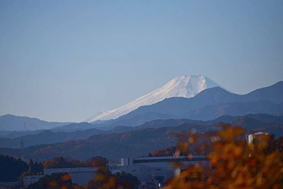【画像】いい天気だから天覧山に登った