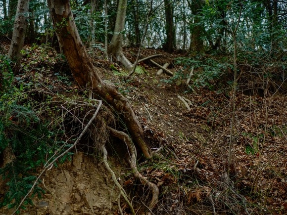【新潟】遭難していた２人が偶然合流ｗｗｗｗｗｗｗｗｗｗｗｗ