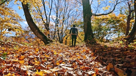 一人登山になったのは運動不足解消のためだから地元の低山専門だわ