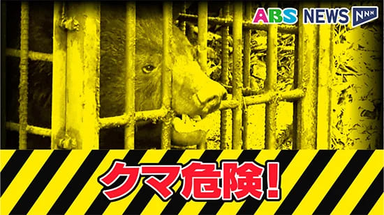 クマに襲われたか　大館市の民家敷地内で飼いイヌが死ぬ　飼い主の女性が発見